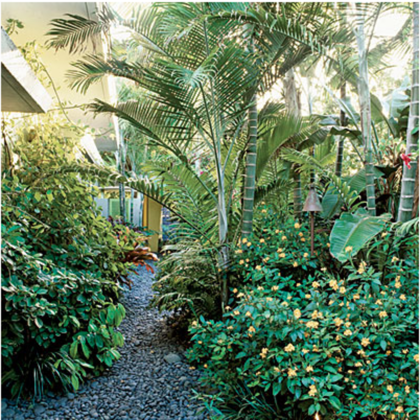 All Things Tropical: Create Your Own Backyard Oasis